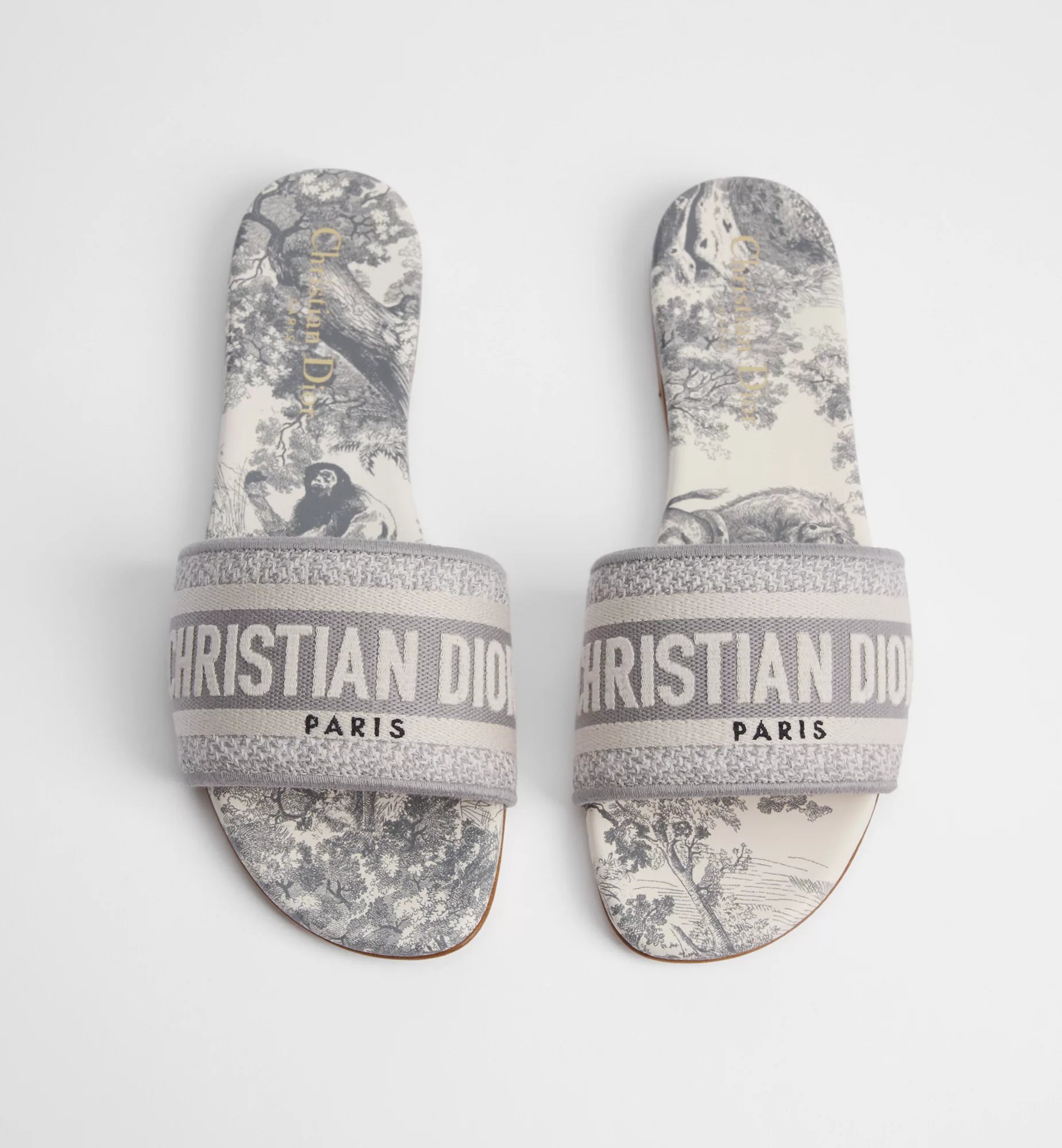 Christian dior slides