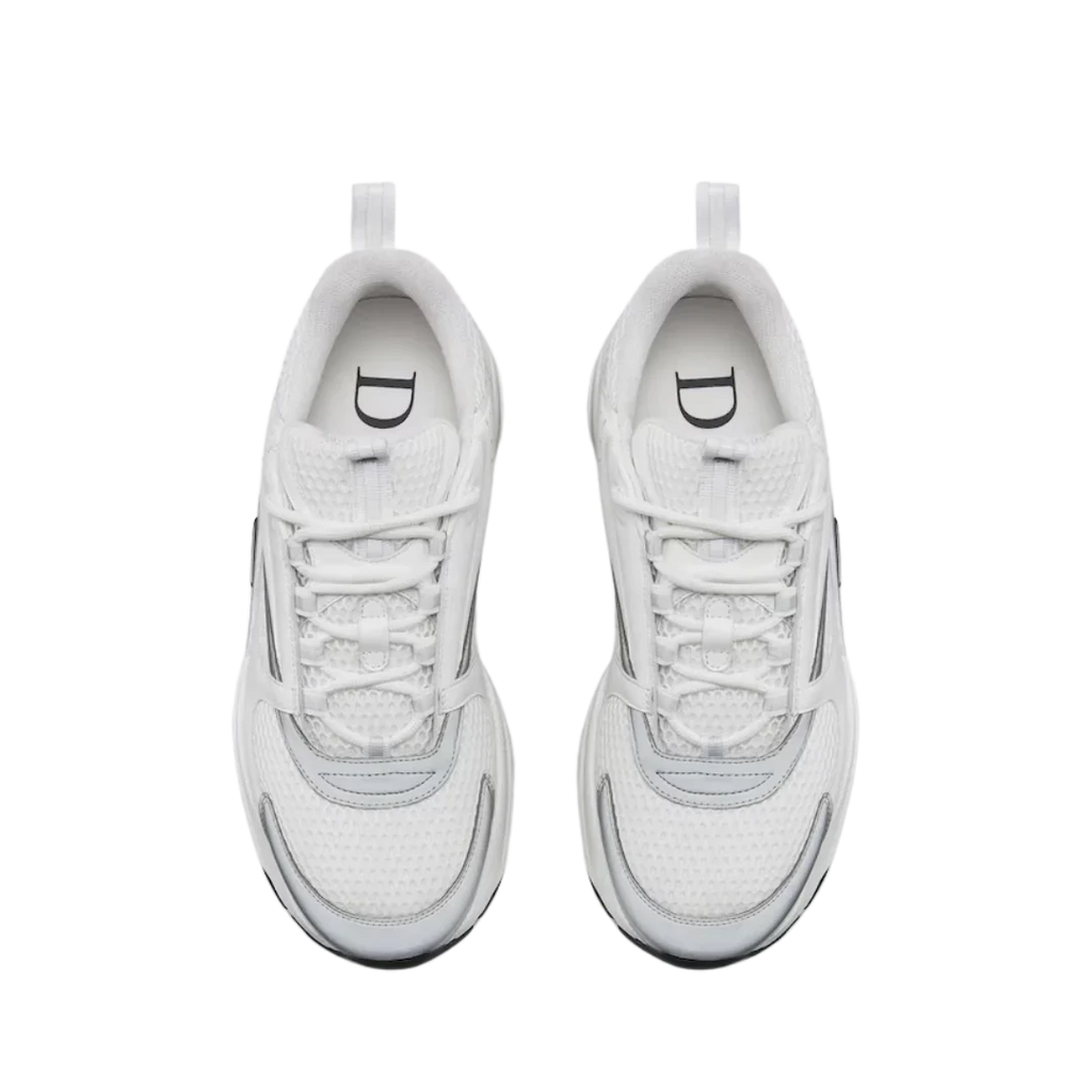 Dior B22 'White Grey'