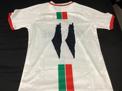 Palestine Away jersey 23/24 (White)